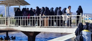 بازید دانشجویان دانشگاه فنی و حرفه‌ای استان ایلام از شهرک صنعتی شهرستان ایوان 5