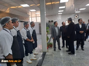 برگزاری آیین افتتاح آشپزخانه دانشگاه فنی و حرفه‌ای استان مرکزی
 2
