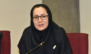 دانشگاه ملی مهارت منتشر کرد:

کتاب «همگرایی هوش مصنوعی و فناوری نانو؛ مفاهیم، کاربردها و تأثیر آن بر آینده مهارت‌های شغلی» 12