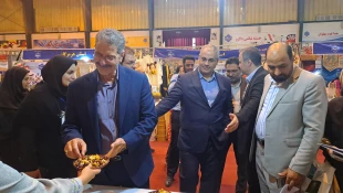 با حضور معاون توسعه اشتغال وزارت تعاون، کار و رفاه اجتماعی آغاز به کار کرد:

هشتمین بازارچه دانشجویی دانشگاه ملی مهارت در دانشکده دکتر شریعتی تهران 5