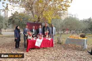 بازدید رئیس کارگروه توسعه مهارت، فناوری‌های کاربردی و نوآوری بریکس از دانشکده ملی‌مهارت دختران دکتر شریعتی
 8