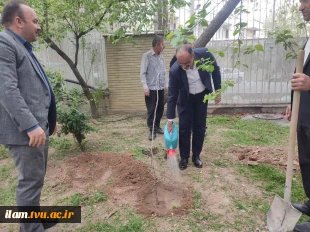 هیئت رئیسه دانشگاه ملی مهارت به پویش غرس«نهال امید» پیوستند
 2