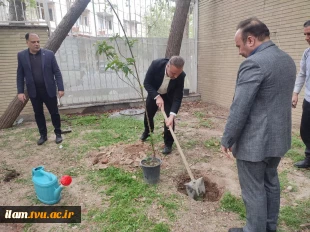 هیئت رئیسه دانشگاه ملی مهارت به پویش غرس«نهال امید» پیوستند
 3