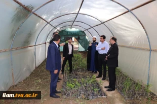 با حضور دکتر منصوری نسب، رئیس مرکز نظارت، ارزیابی و تضمین کیفیت برگزار شد؛
آیین تجلیل از سرآمدان دانشگاه ملی مهارت واحد استانی خوزستان 8
